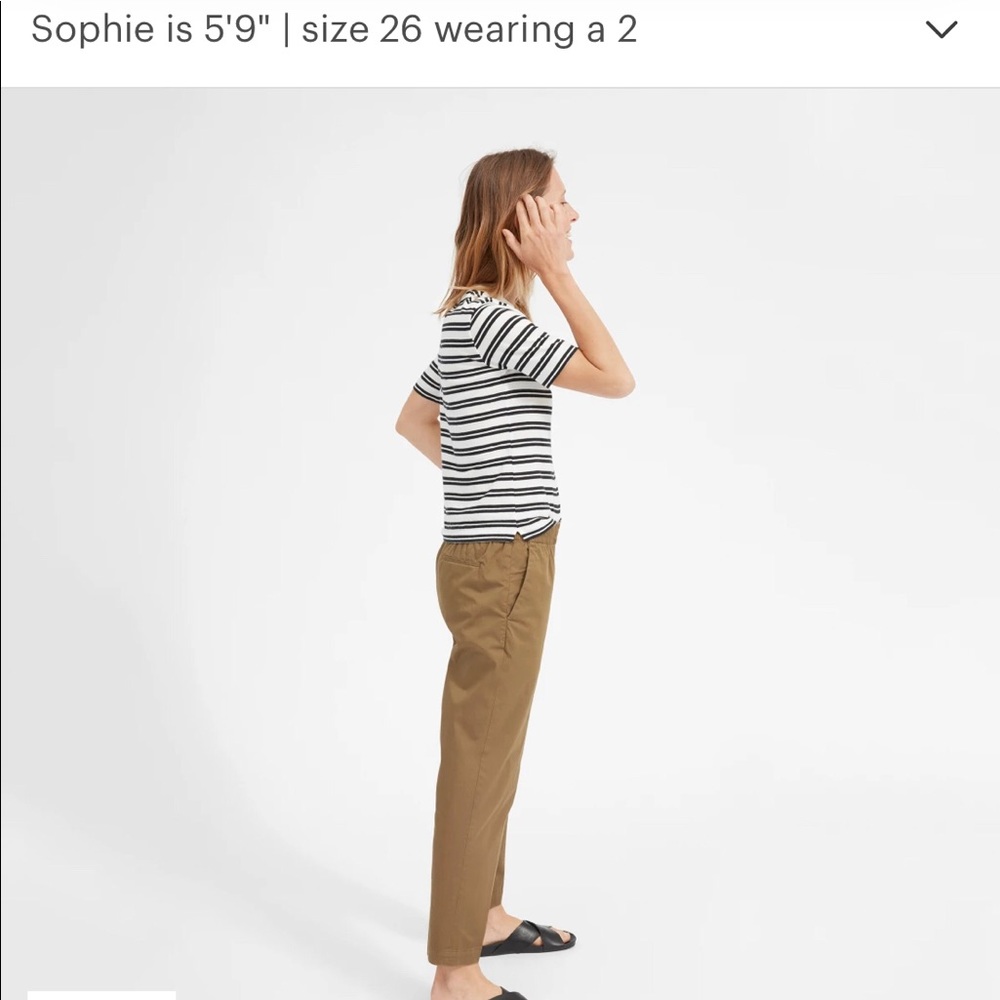 Tan Everlane Easy Chino
